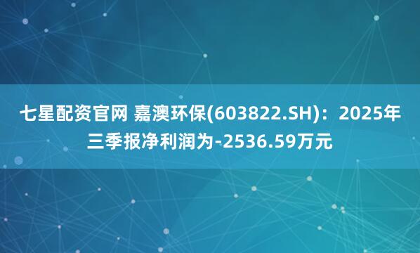 七星配资官网 嘉澳环保(603822.SH)：2025年三季报净利润为-2536.59万元
