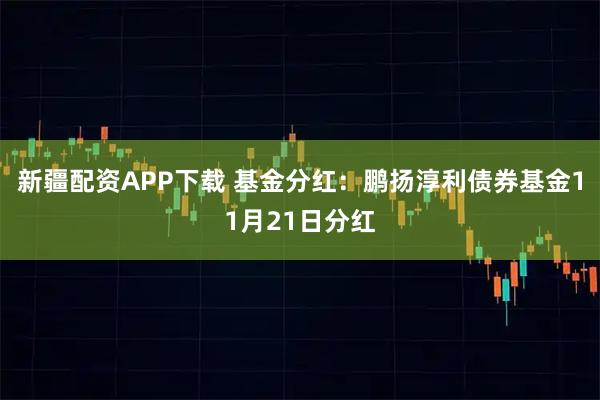 新疆配资APP下载 基金分红：鹏扬淳利债券基金11月21日分红