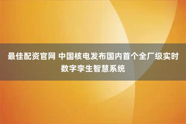 最佳配资官网 中国核电发布国内首个全厂级实时数字孪生智慧系统