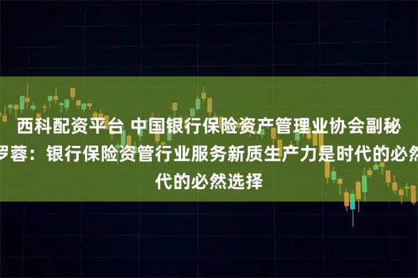 西科配资平台 中国银行保险资产管理业协会副秘书长罗蓉：银行保险资管行业服务新质生产力是时代的必然选择