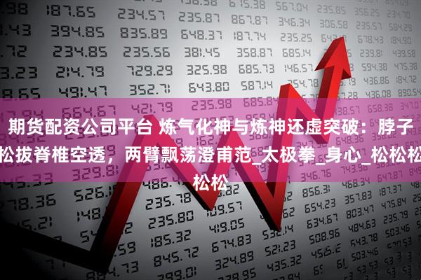 期货配资公司平台 炼气化神与炼神还虚突破：脖子松拔脊椎空透，两臂飘荡澄甫范_太极拳_身心_松松松